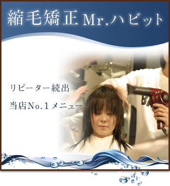 縮毛矯正 Mr.ハビット